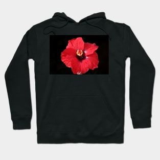 Red Hibiscus on Black Hoodie